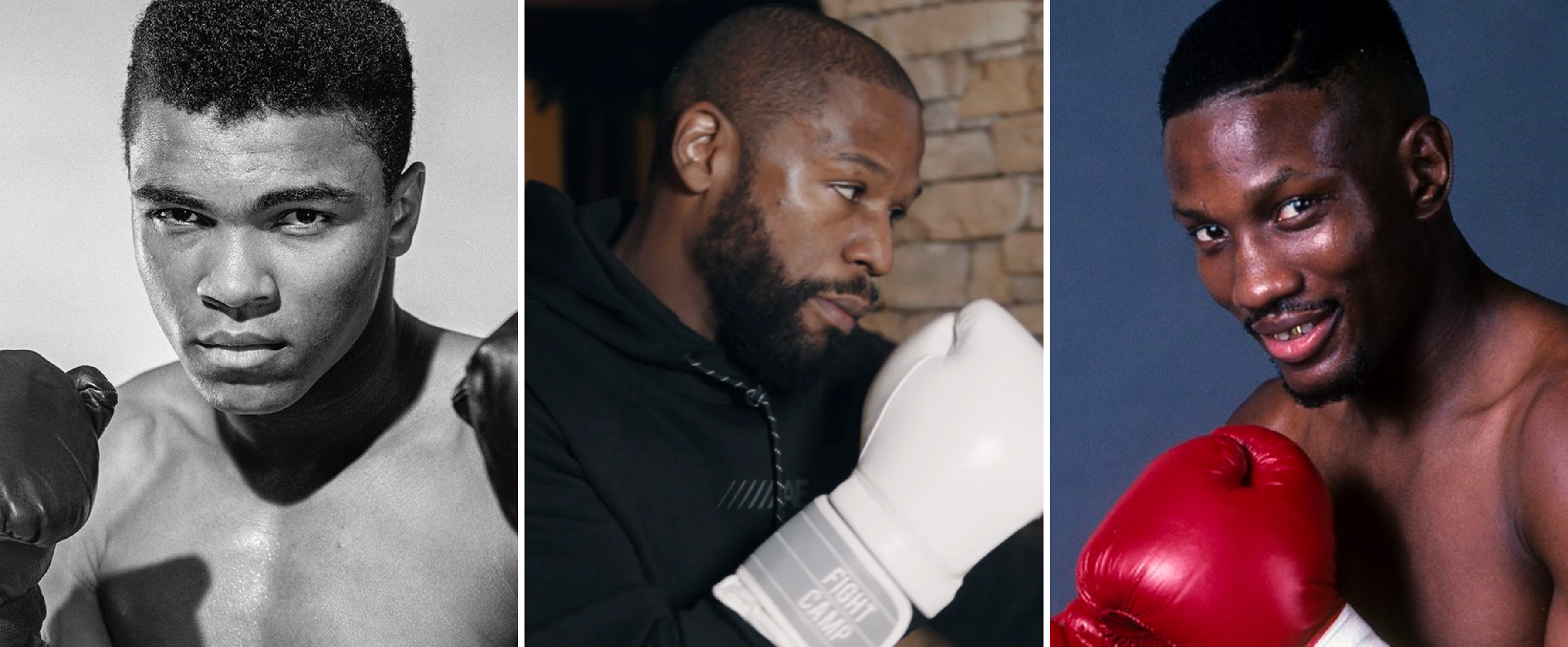 FightCamp - Best Defensive Boxers & Their Signature Techniques