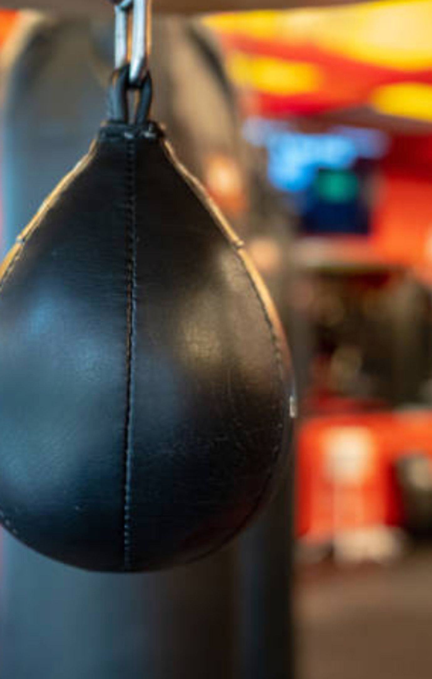 FightCamp Types of Punching Bags