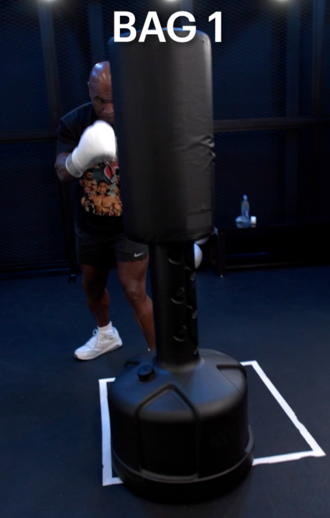 Free-Standing Punching Bag