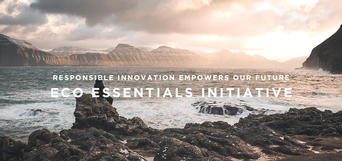 Eco Essentials Timeline