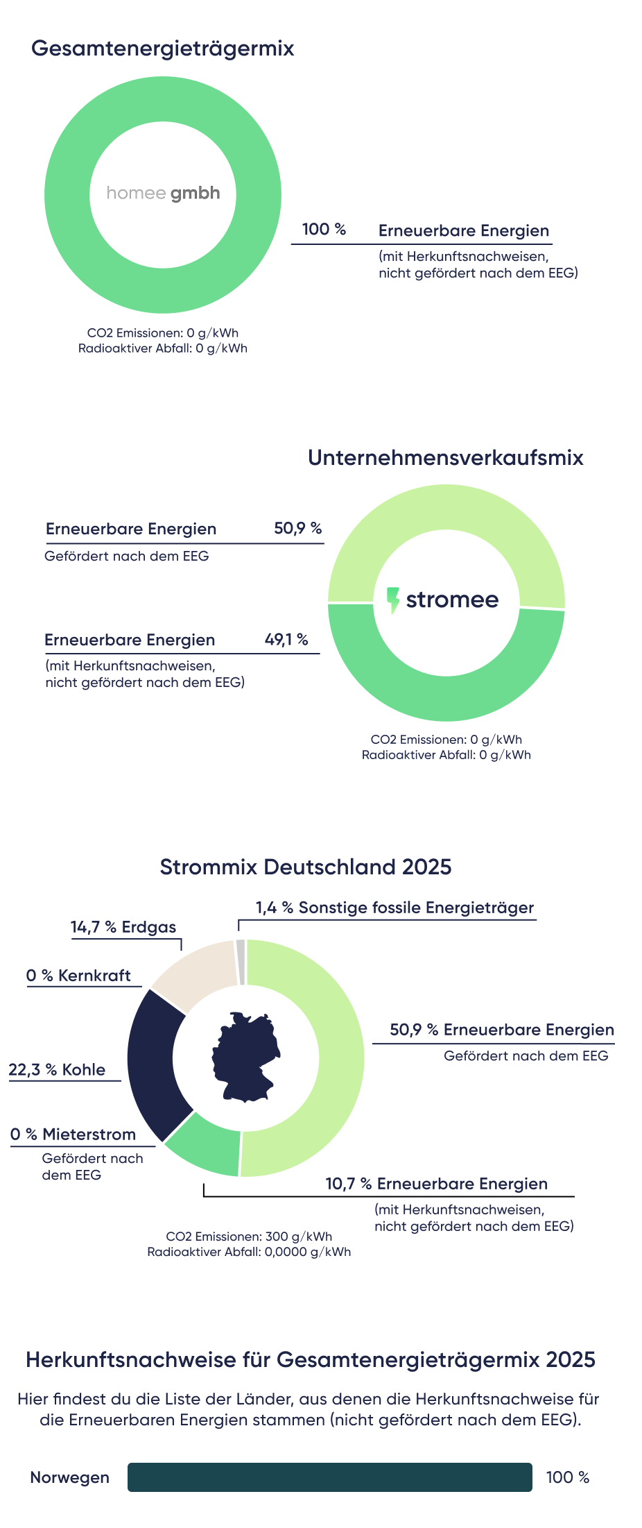 Strommix 2025