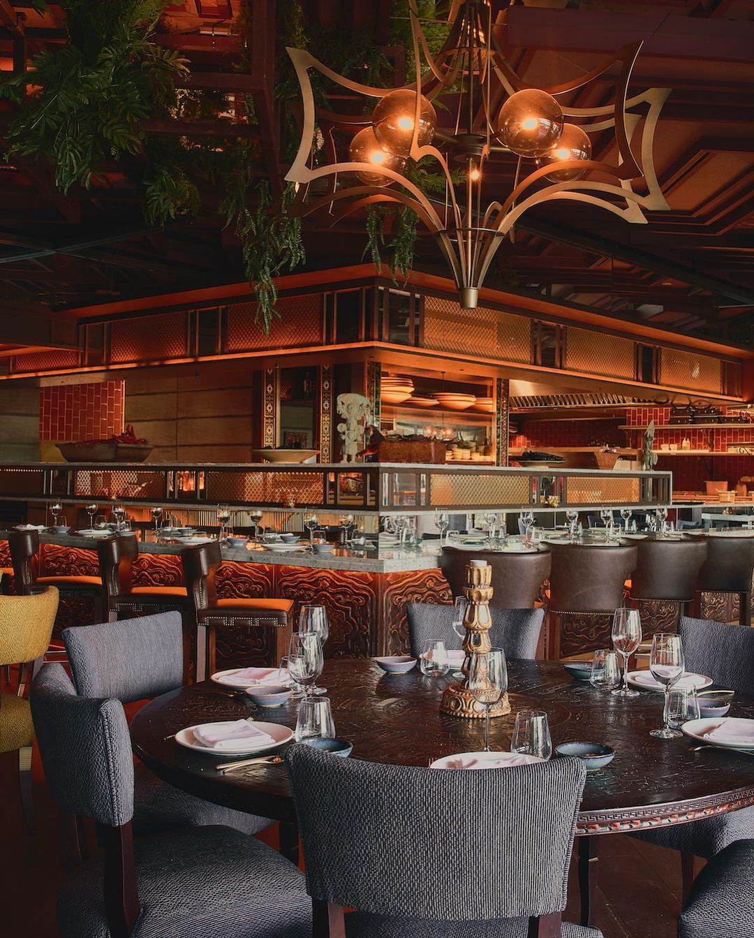 COYA Barcelona | Reservations, Info & Next Events | Nox