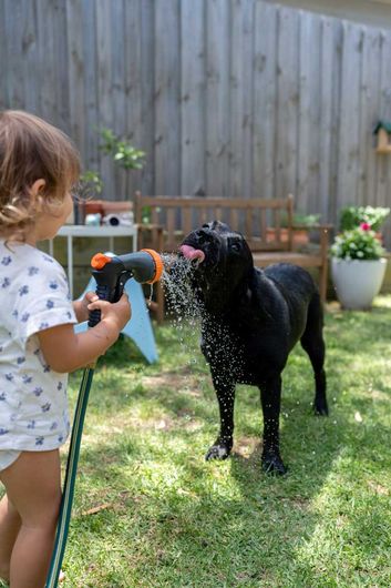 We give a buck about helping you with your low doc home loan