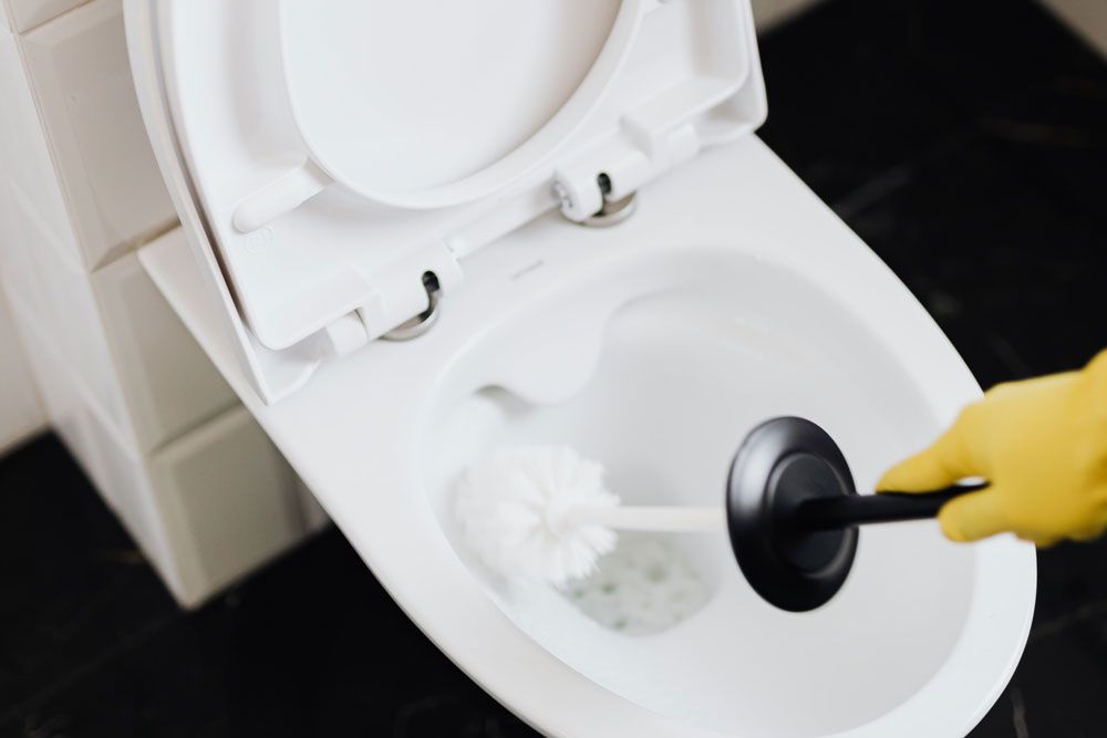 toilette reinigen urinstein entfernen putzen