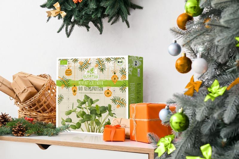 Saatgut Keimlinge adventkalender bio