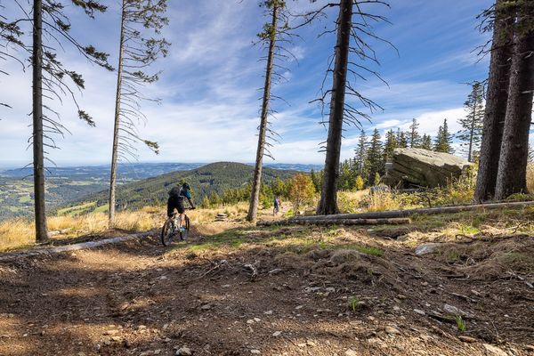 Mountainbike Strecke_Hallertrail