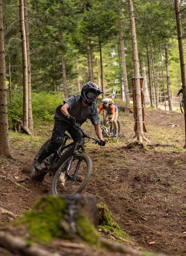 Wald Trail bergab