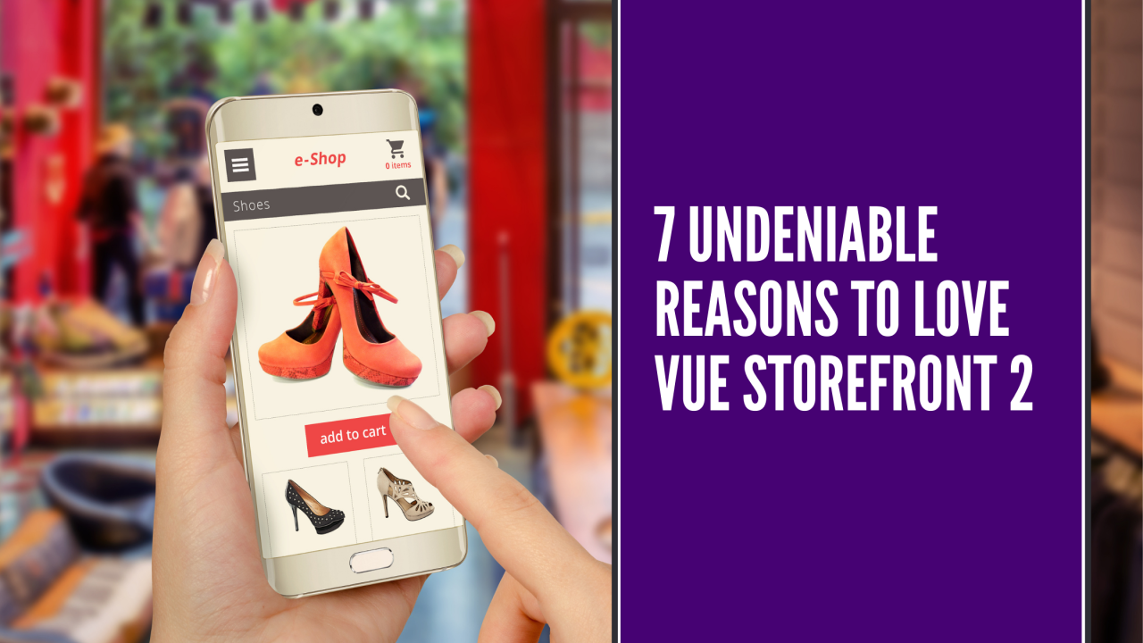 7 Undeniable Reasons to Love Vue Storefront 2
