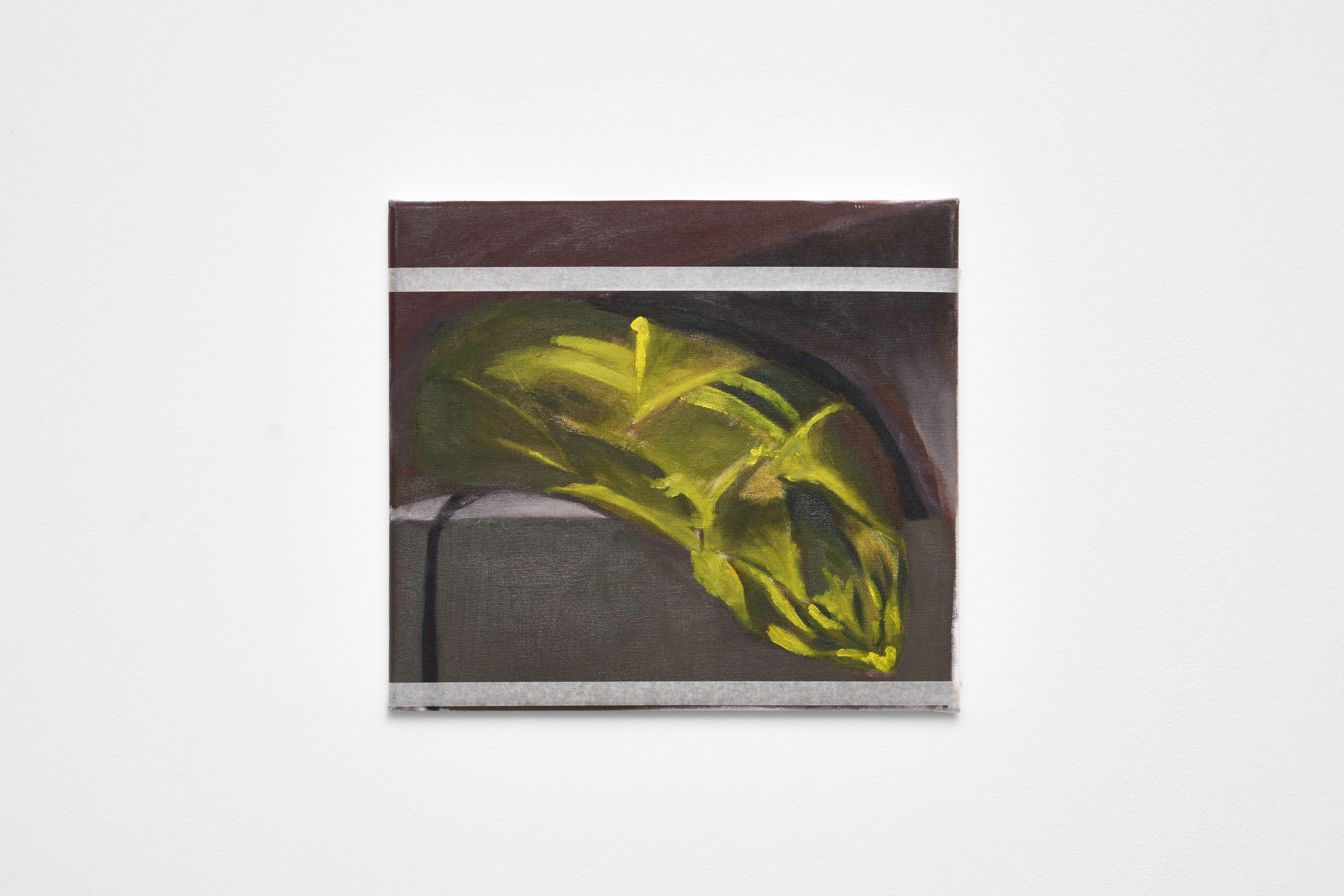 Bunch-of-Asparagus_08