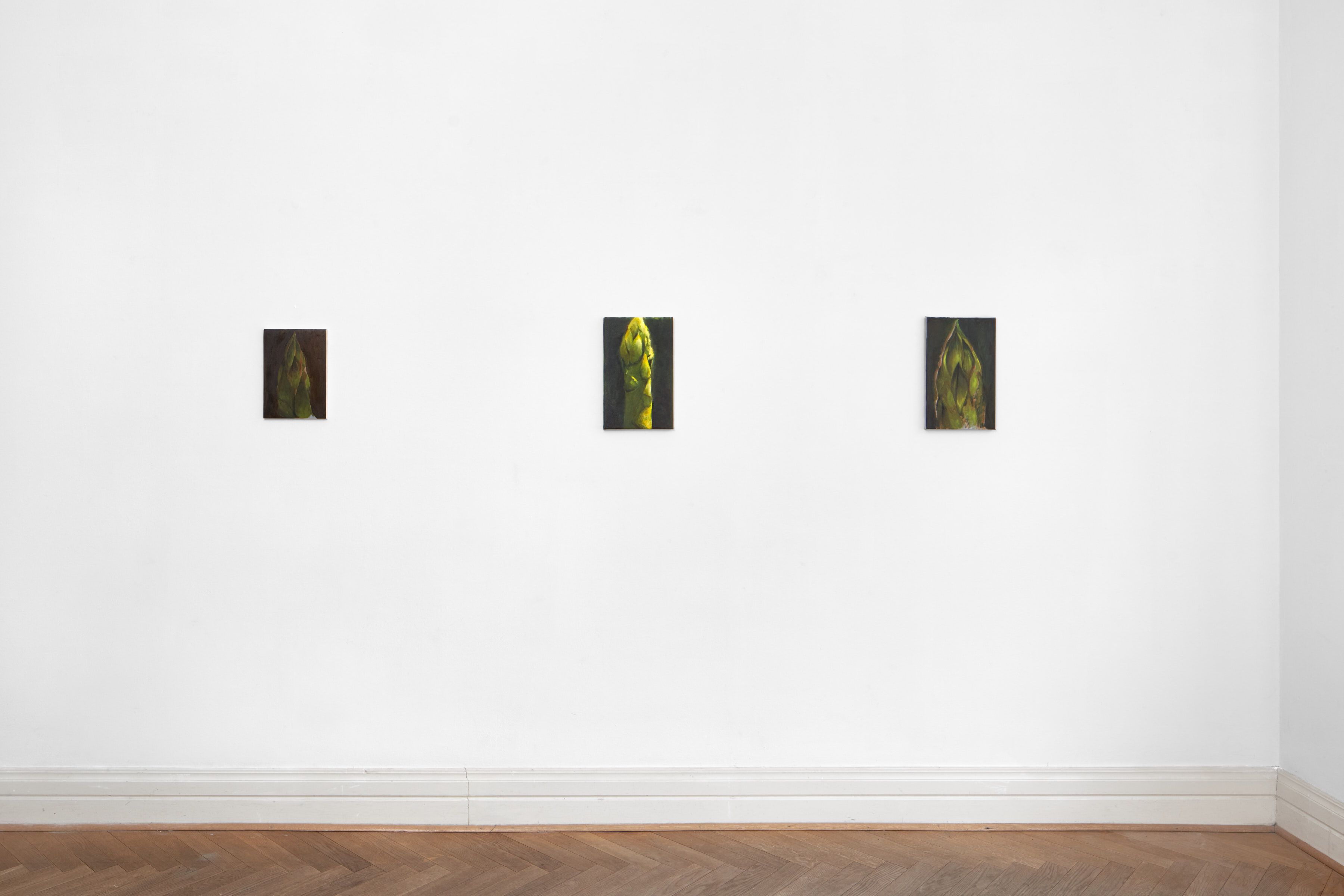Bunch-of-Asparagus_06