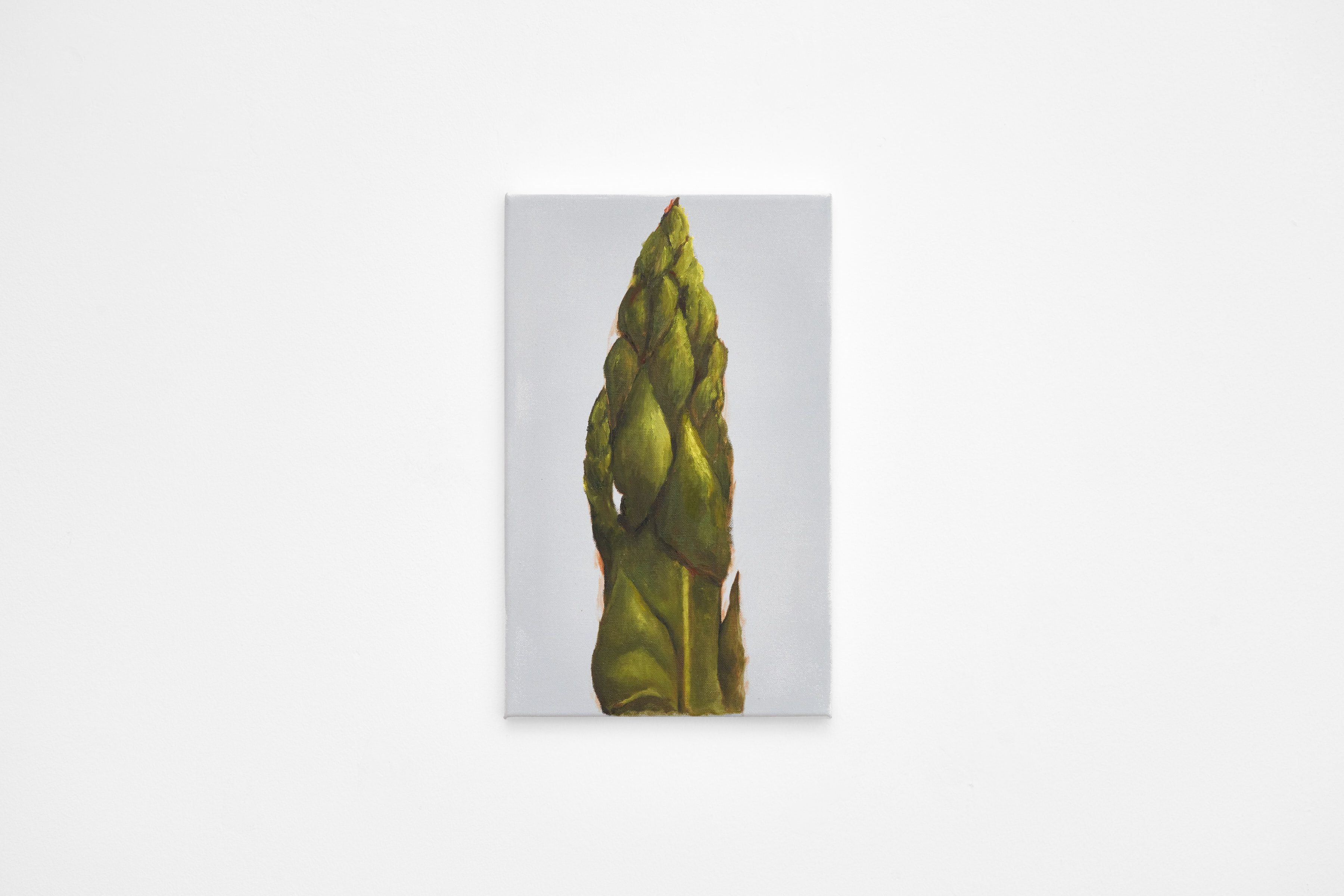 Bunch-of-Asparagus_04