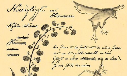 «Bei Vollmond ist das ganze Dorf auf den Beinen» – Samuel Herzog