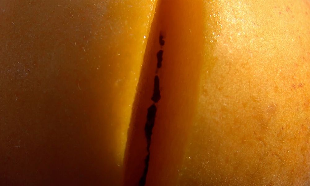 Baltz Mengis – Team Fluctus