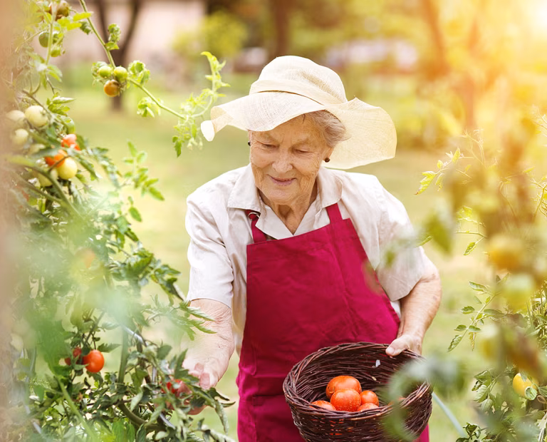 Senior woman with tomato's