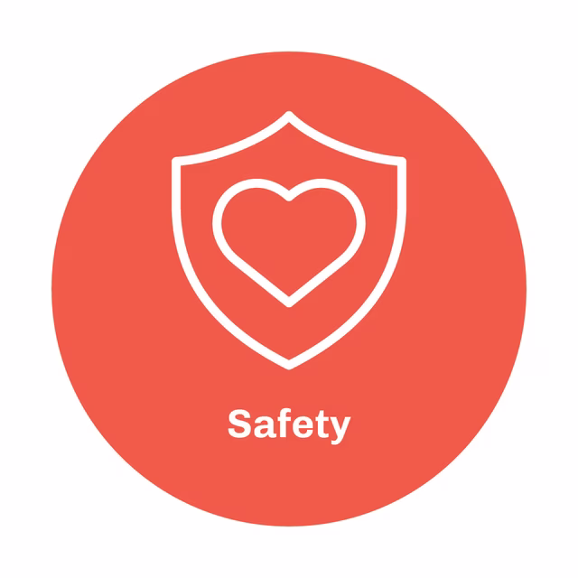 Safety icon