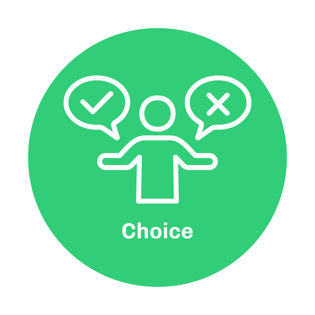 Choice icon