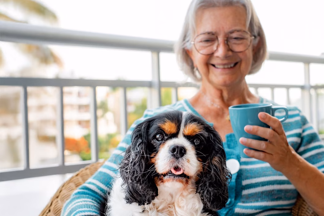 Photo of a happy woman with a spaniel on her lap