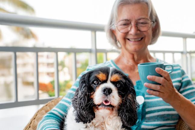 Foto de una mujer feliz con un spaniel en su regazo