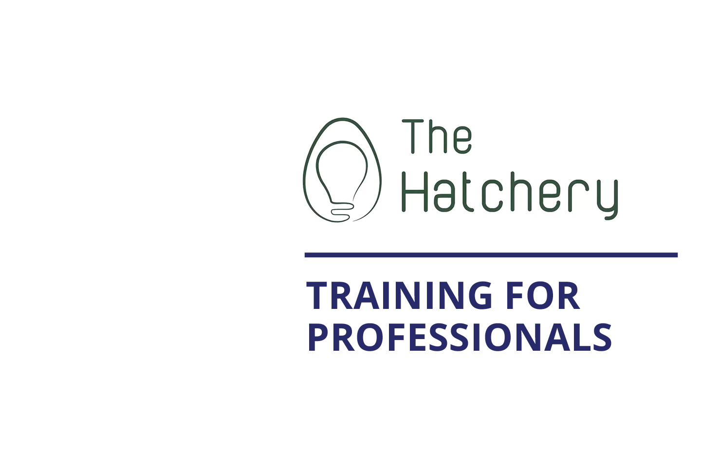 Training for professionals