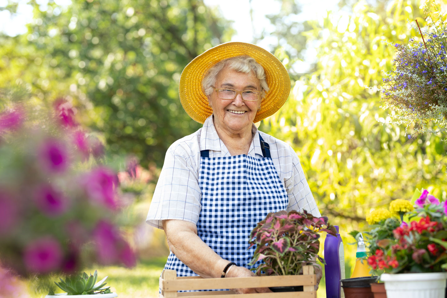 Senior woman in the garden 