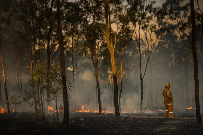 Photo of a firefighter standing in burning bushland