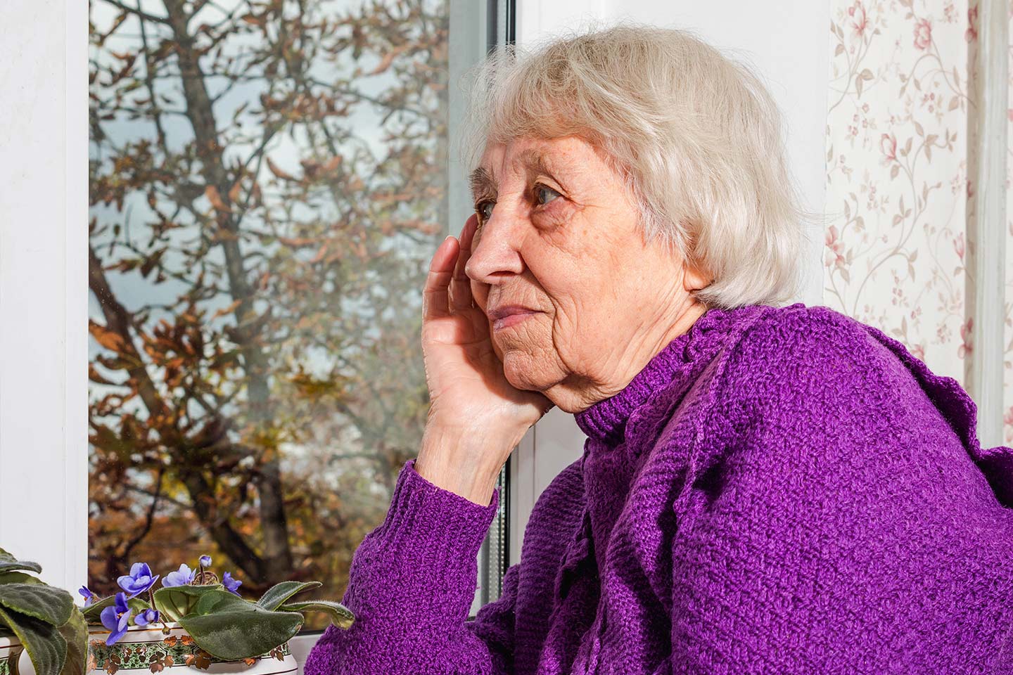 Photo of a woman in a magenta jumper looking out of a window