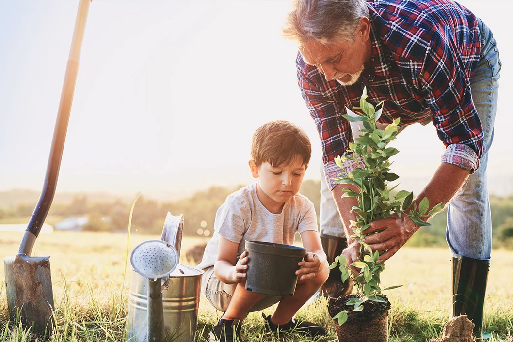Photo of a young child helping a man plant a tree