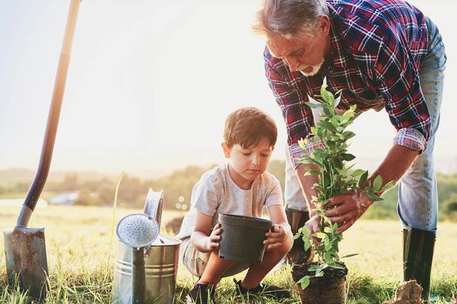 Photo of a young child helping a man plant a tree