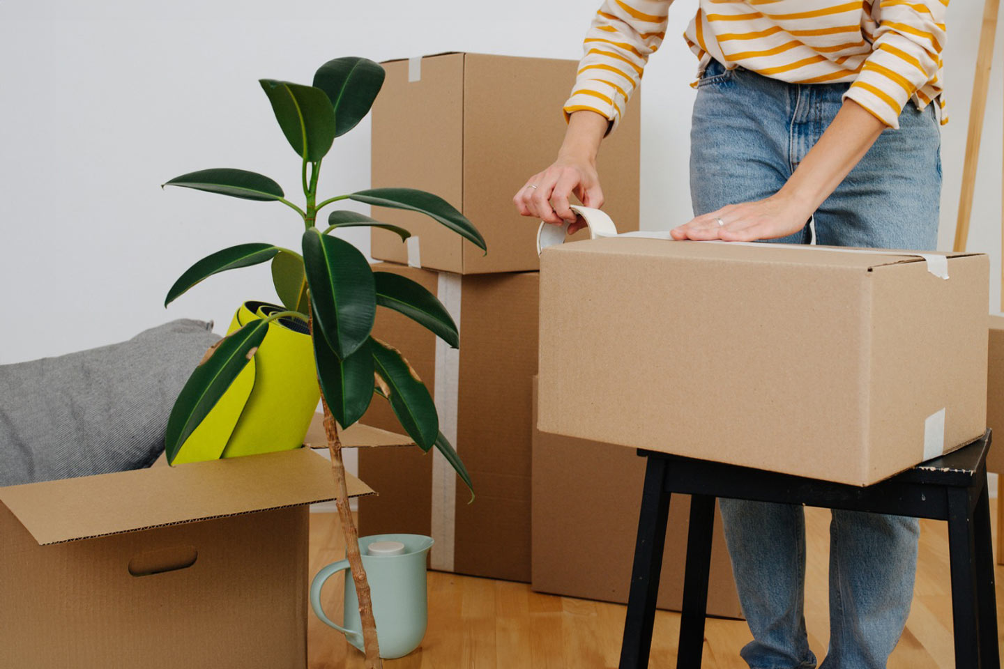 Photo of person packing cardboard boxes