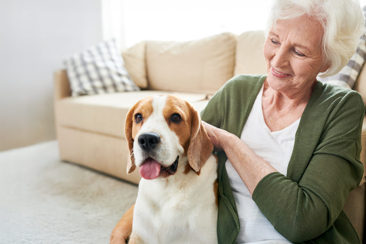 Photo of a smiling woman patting a pet beagle