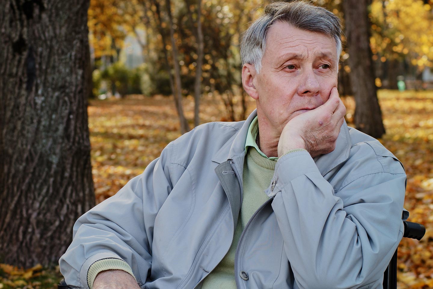 Photo of seated man with golden autumn leaves behind him