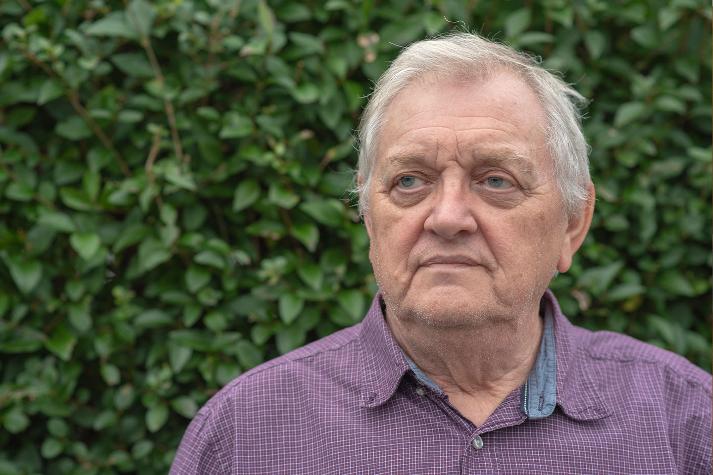 Photo of a man in a purple shirt in front of a hedge