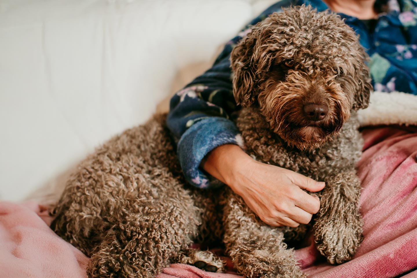 Image of a dog and an older woman up on a bed
