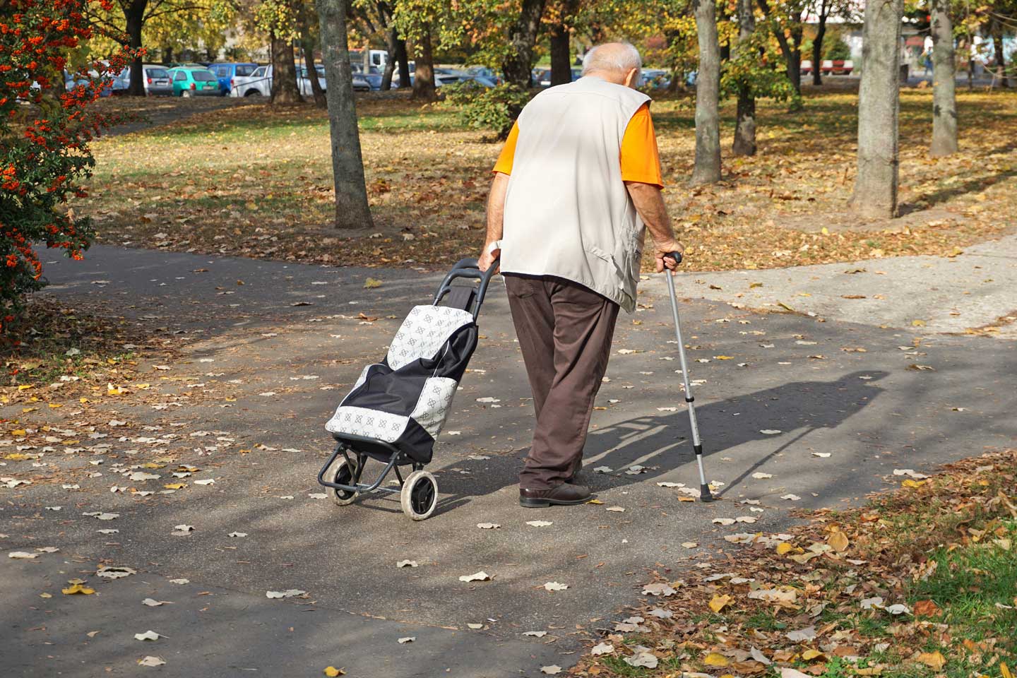Senior man pulling trolly in the park