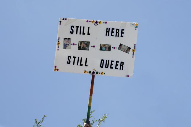 Still here, still queer sign 