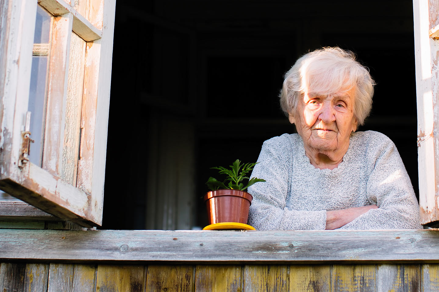 Photo of a woman leaning on a window frame with a small pot plant