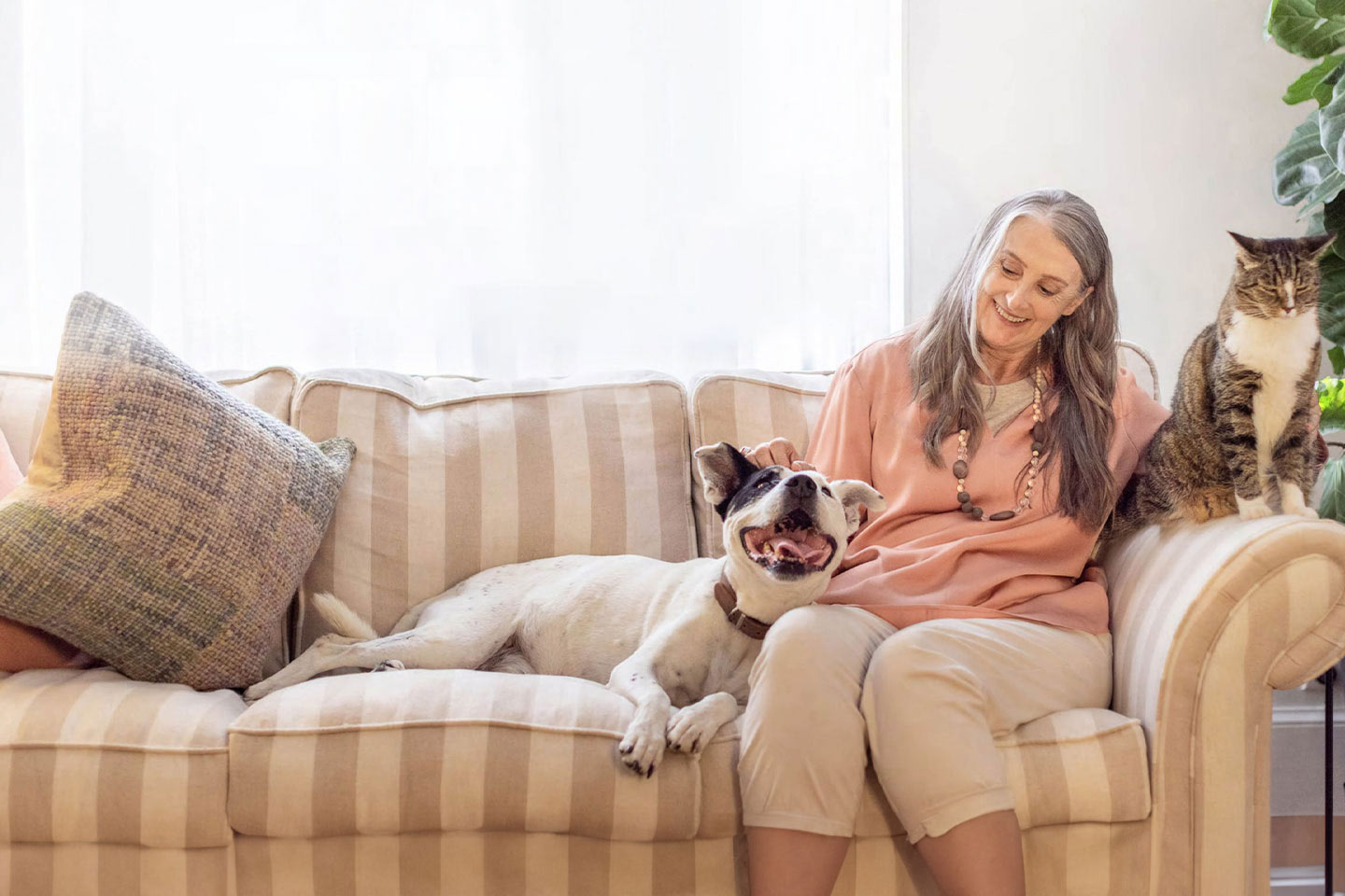 Photo of happy dog and cat on couch with human mum