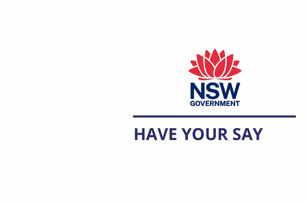 The current Regulation will expire on 1 September 2025. Remaking the Regulation allows the NSW Government to consider feedback on how to improve, modernise and streamline the current laws.