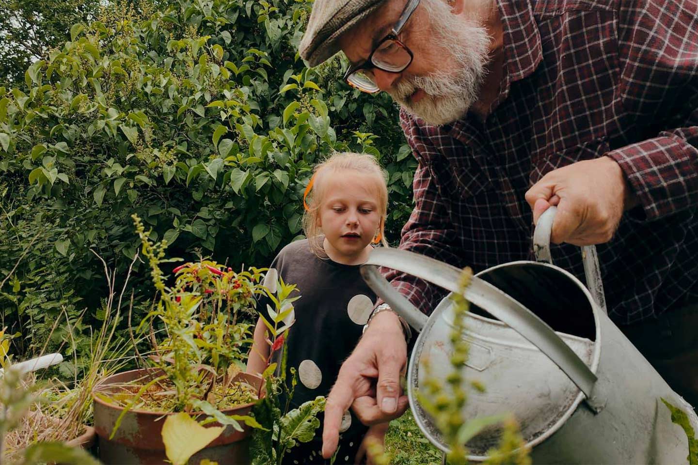 Photo in a garden of a curious child and a man with a watering can