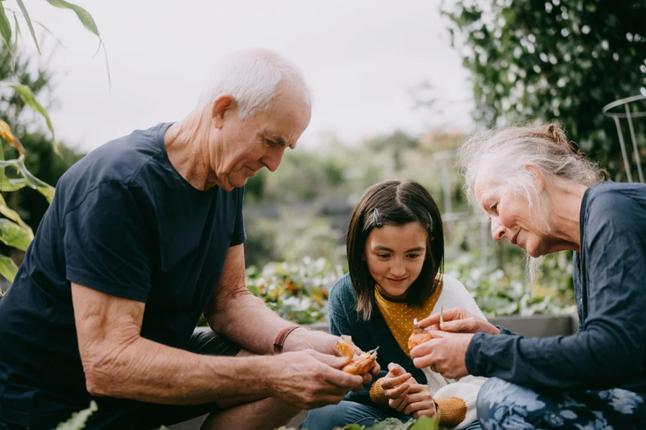 Image of two grandparents and a grandchild gardening together