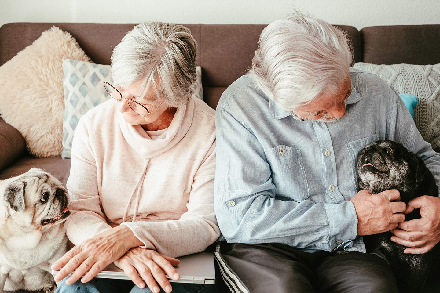 Photo of a couple with two pug dogs