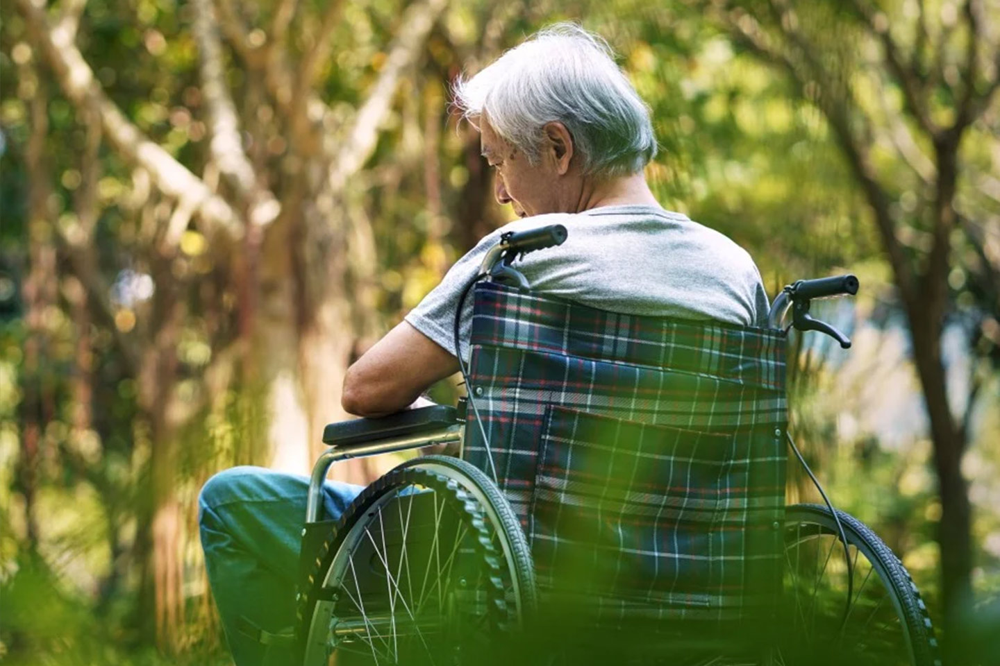 Photo of a man outdoors in a tartan wheelchair