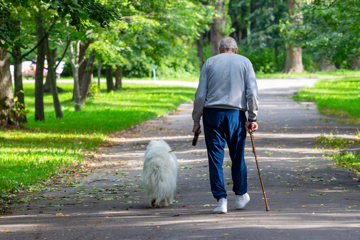 Elderly man walking his dog