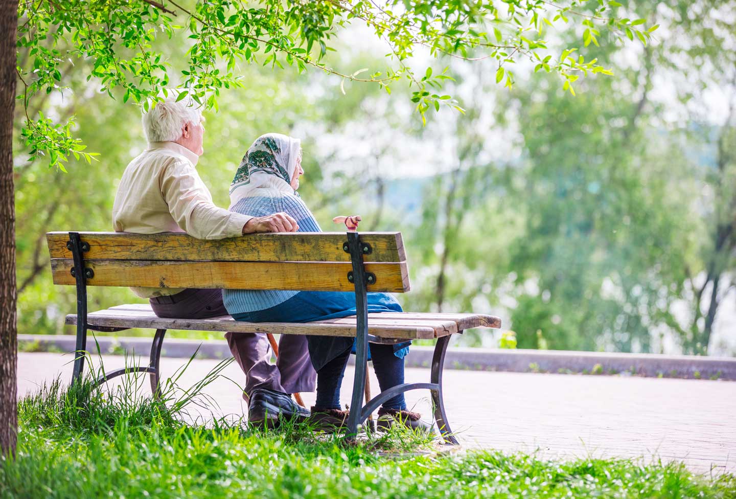 Senior couple sitting on bench in park 