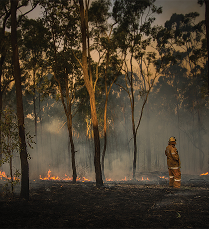 Photo of a firefighter standing in burning bushland