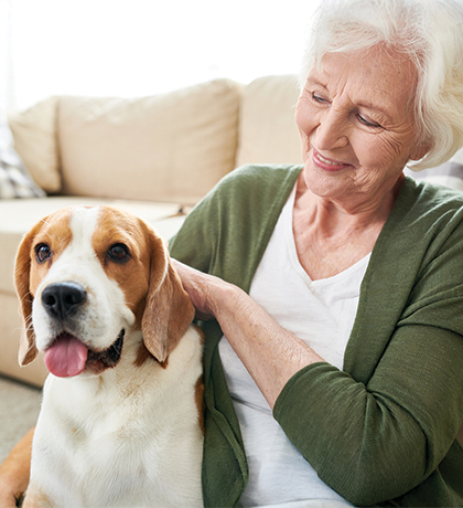 Photo of a smiling woman patting a pet beagle