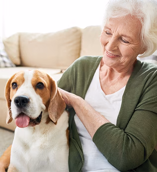 Photo of a smiling woman patting a pet beagle