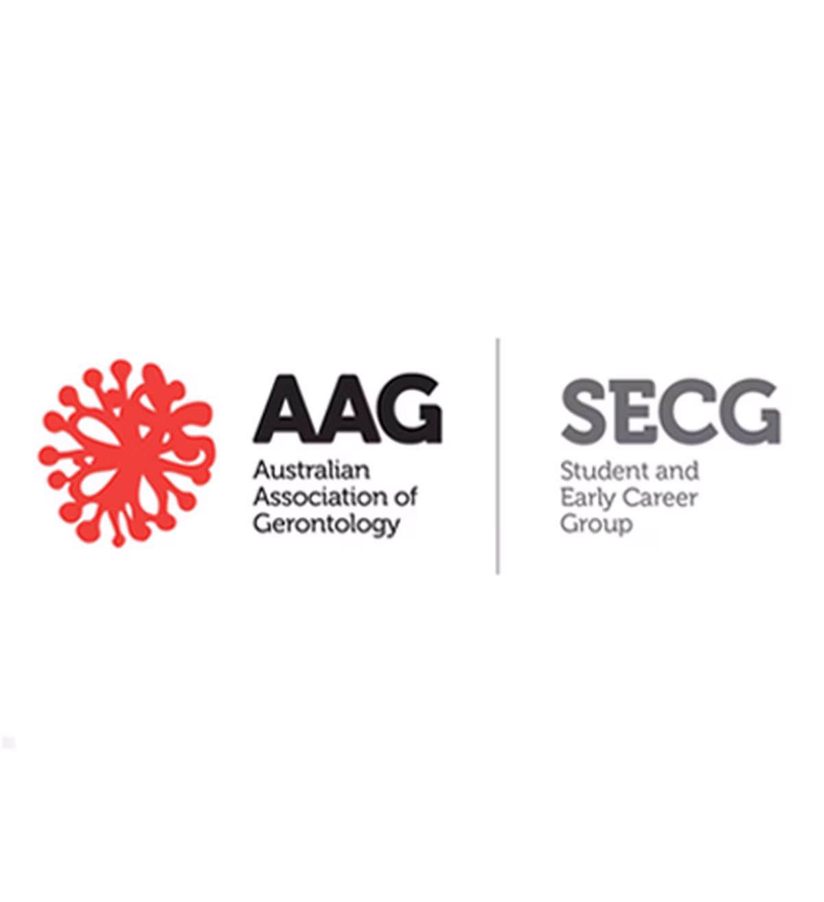 AAG (Australian Association of Gerontology) und SECG (Student Early Career Group)