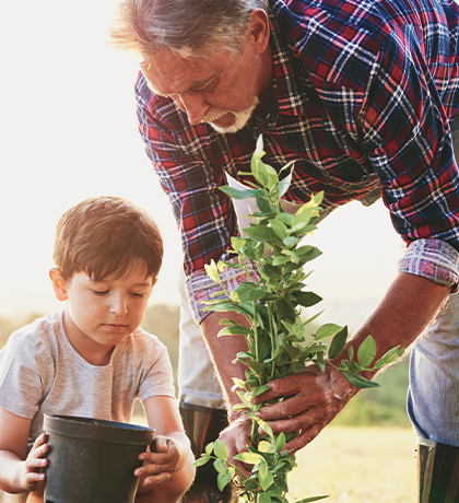 Photo of a young child helping a man plant a tree