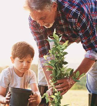 Photo of a young child helping a man plant a tree